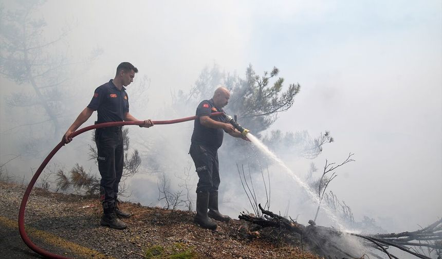 Aydın'ın Çine ilçesindeki orman yangınına müdahale 3. gününde sürüyor