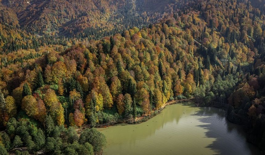Artvin'deki Borçka Karagöl Tabiat Parkı sonbahar renklerine büründü