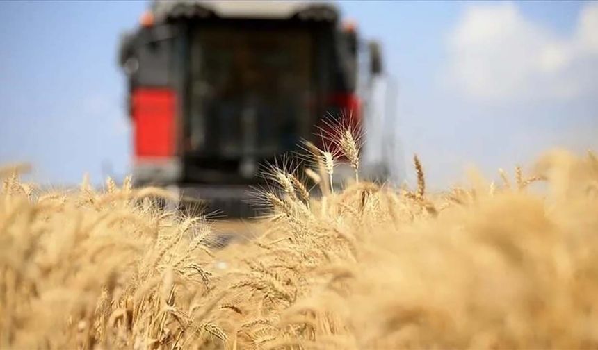 G20 ticaret bakanları gıdanın silah olarak kullanılmasını kınadı