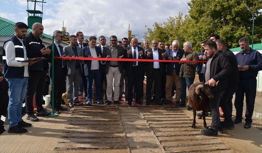 Muş'ta 45. dönem pancar alım kampanyası başladı