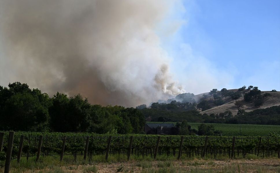 California'da orman yangınına müdahale sürüyor