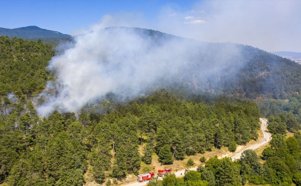 Bolu'da çıkan orman yangını kontrol altına alındı