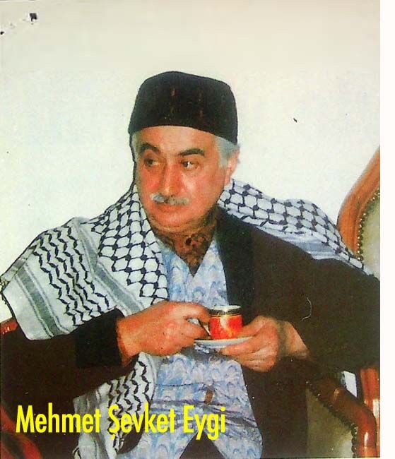 Mehmet Şevket Eygi
