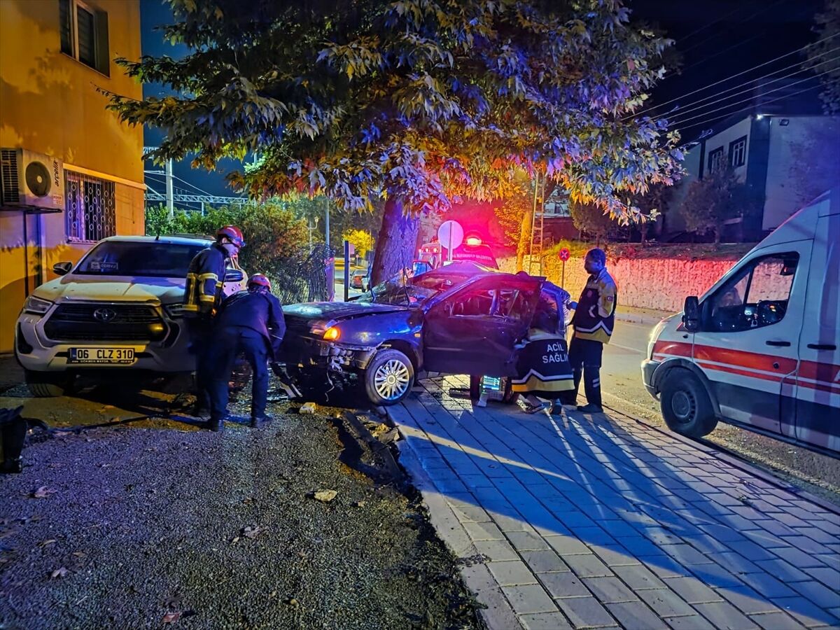 Adana'da ağaca çarpan otomobildeki 2 kardeşten biri hayatını kaybetti